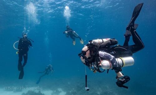 Group of people diving